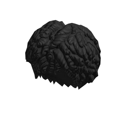 Free Roblox Curly Afro Black Hair