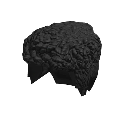 Free Roblox Curly Fade Black Hair