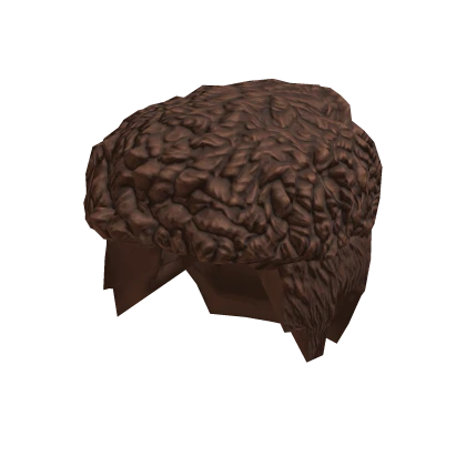 Free Roblox Curly Fade Brown Hair